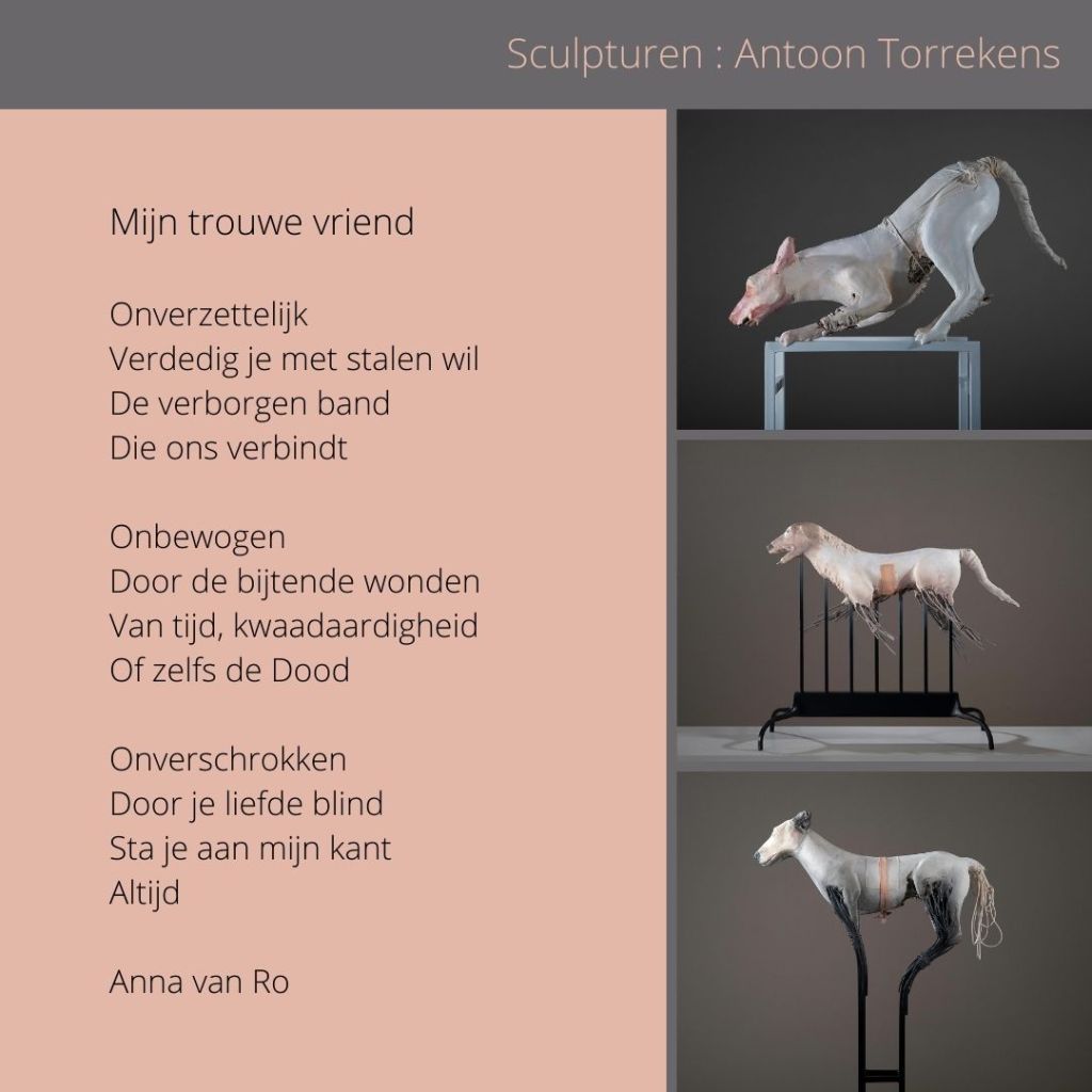 Gedicht-Antoon-Torrekens-Anna-van-Ro