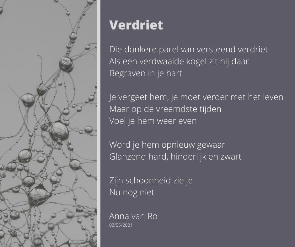 gedicht - Verdriet- Anna van Ro