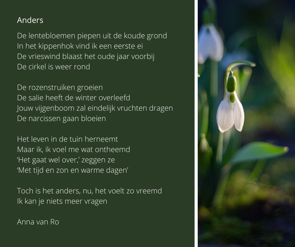 gedicht - Anders - Anna van Ro